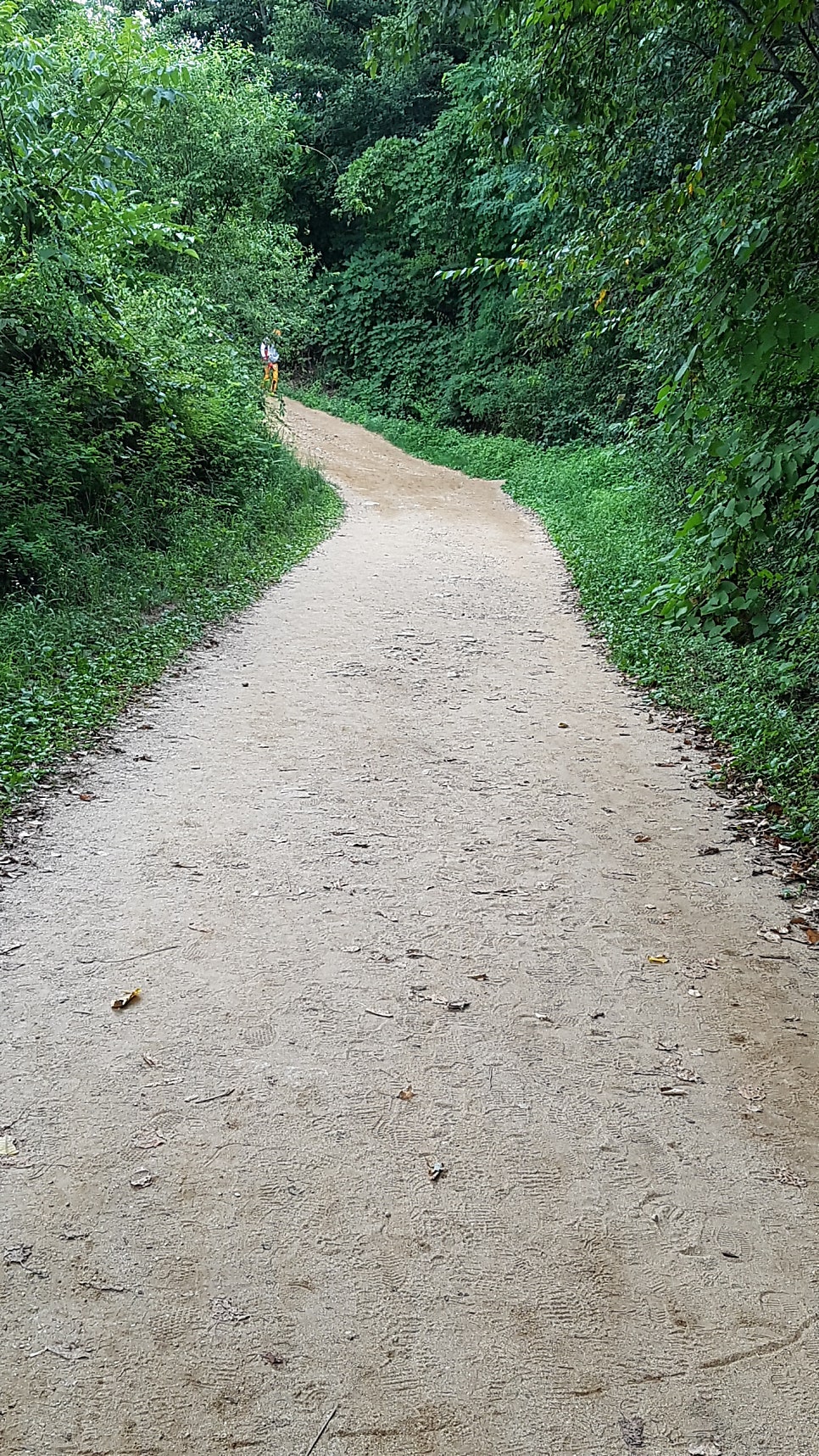 노산팔경캠핑장;관광농원 이미지