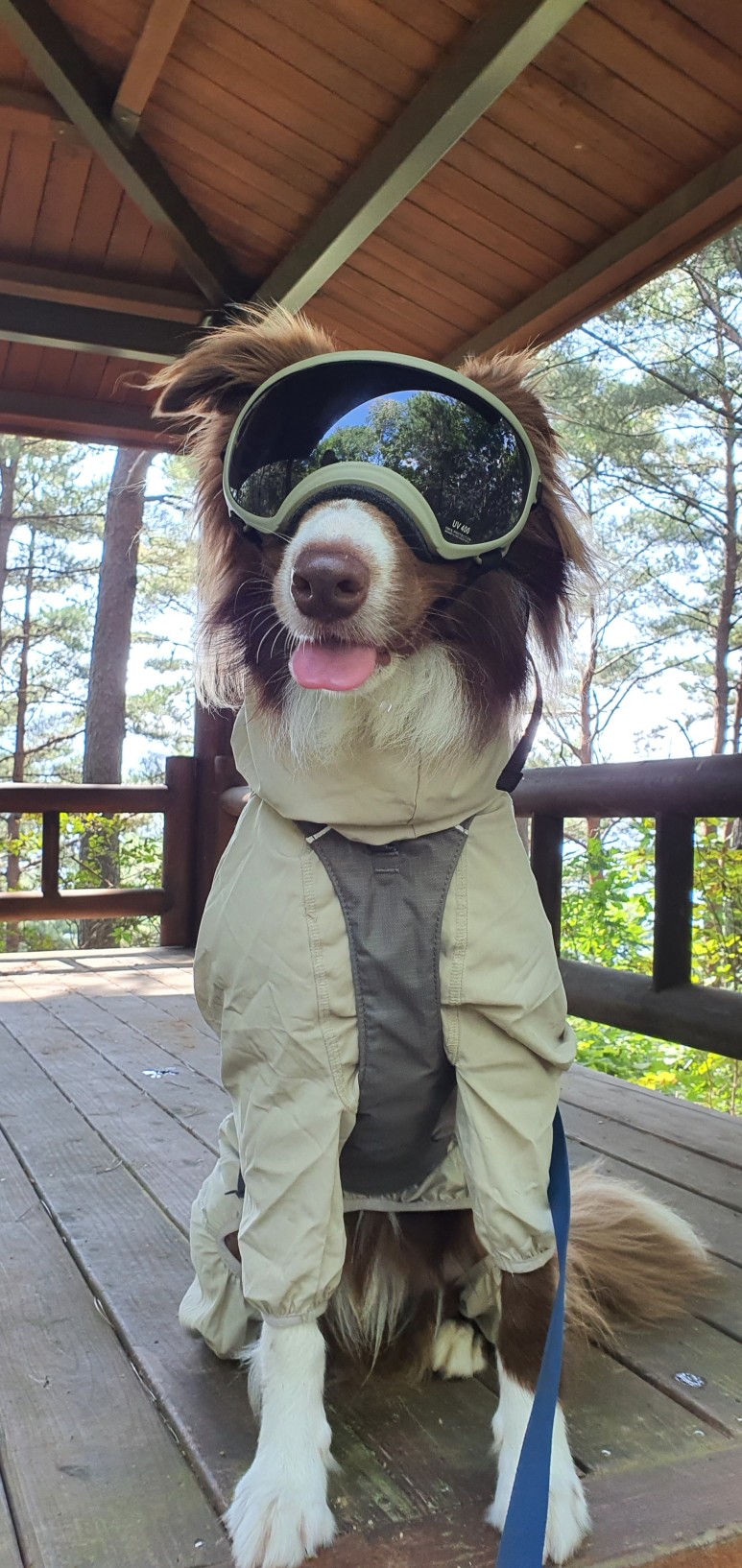 반디하우스캠핑장 이미지