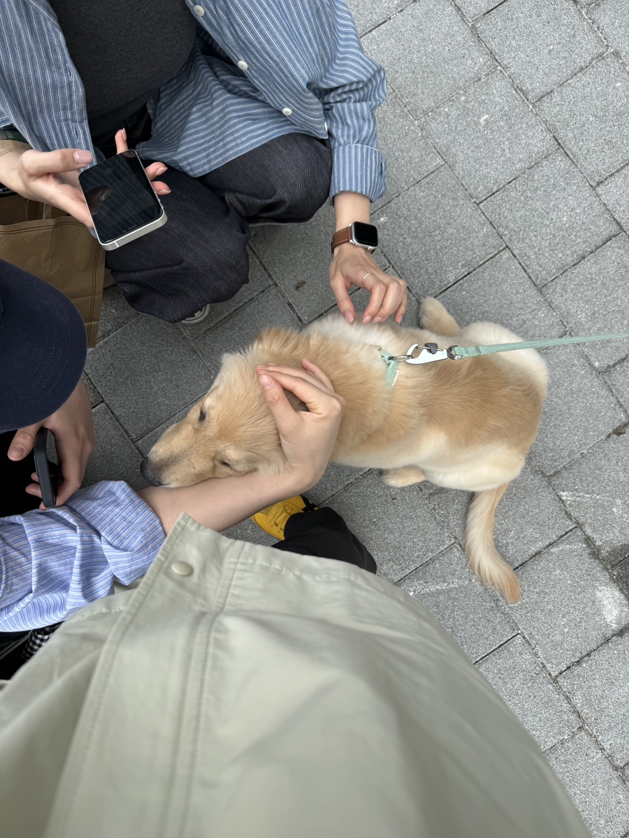 오크라-에피쿠로스의정원 이미지