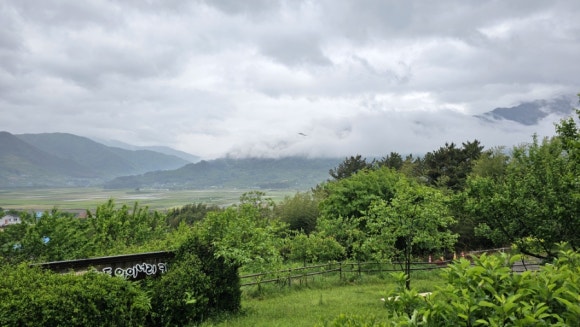 지리산꽃다연 이미지