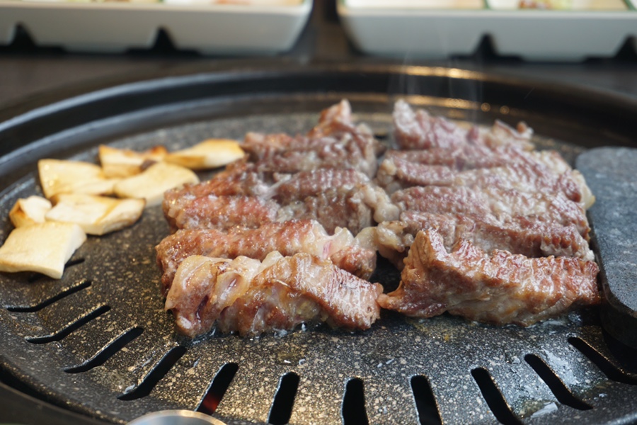 고기숲 이미지