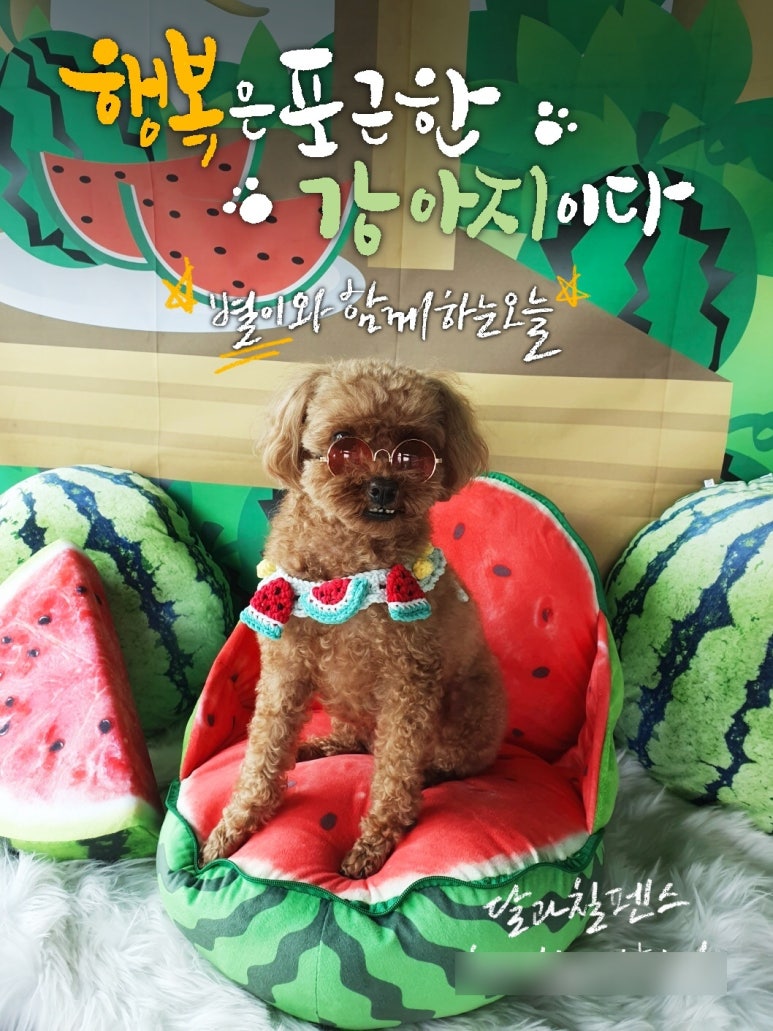 달과7펜스 이미지