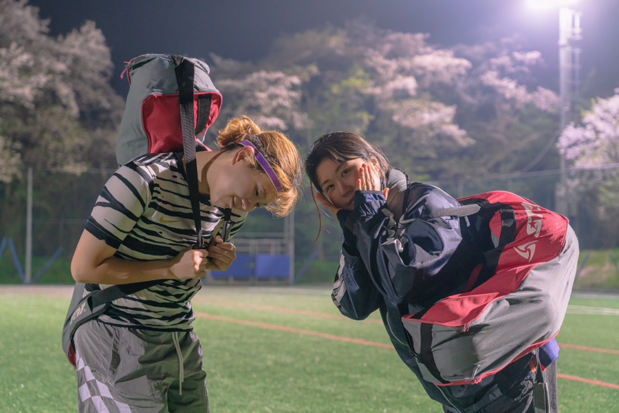 매일봄 이미지