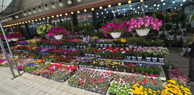천사꽃화원 이미지