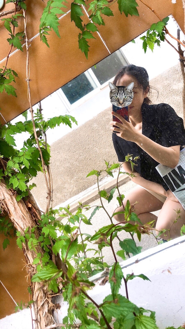 아릇간 이미지