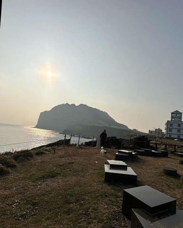 비자노아 이미지