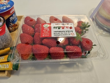 서은재 이미지