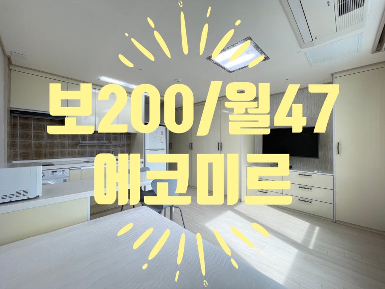 에코미르 이미지