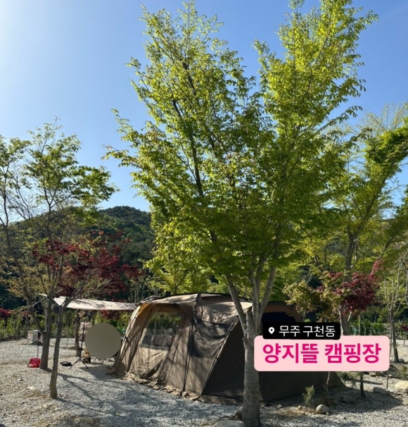 무주양지뜰캠핑장 이미지