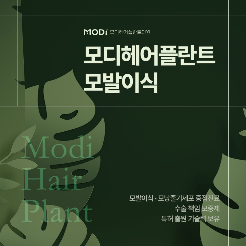 모디헤어 이미지