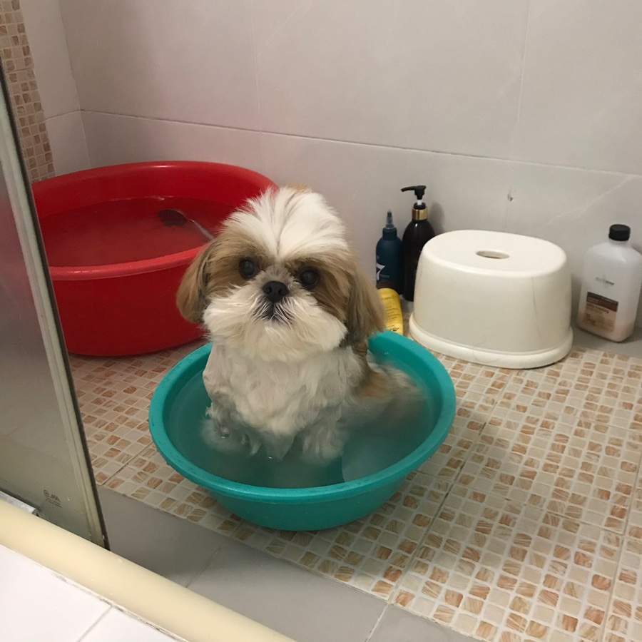 만배수산 이미지