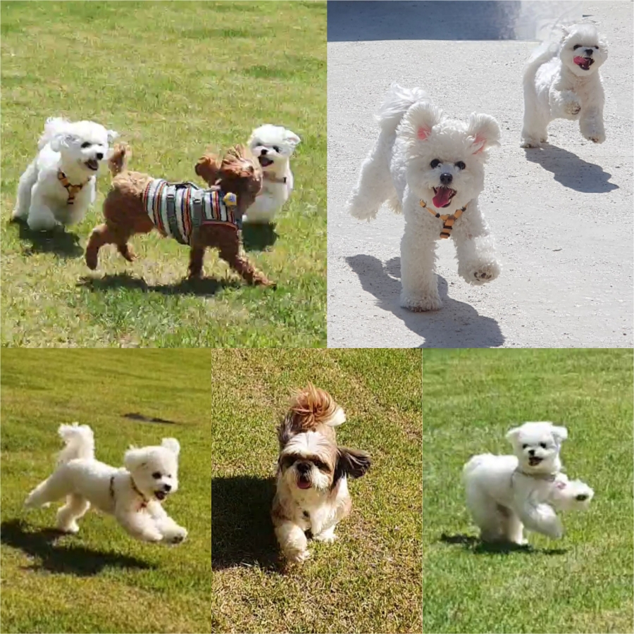뛰뛰멍 이미지