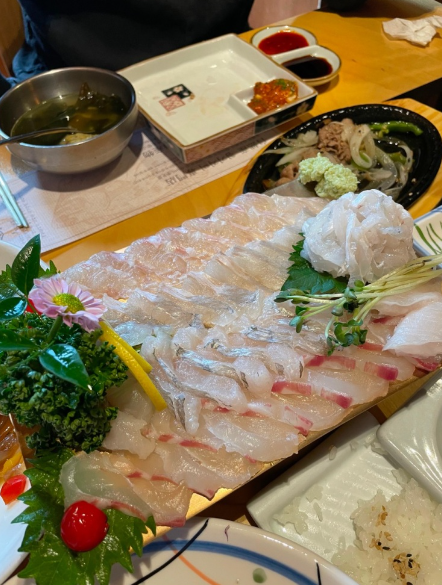 참가자미집 이미지