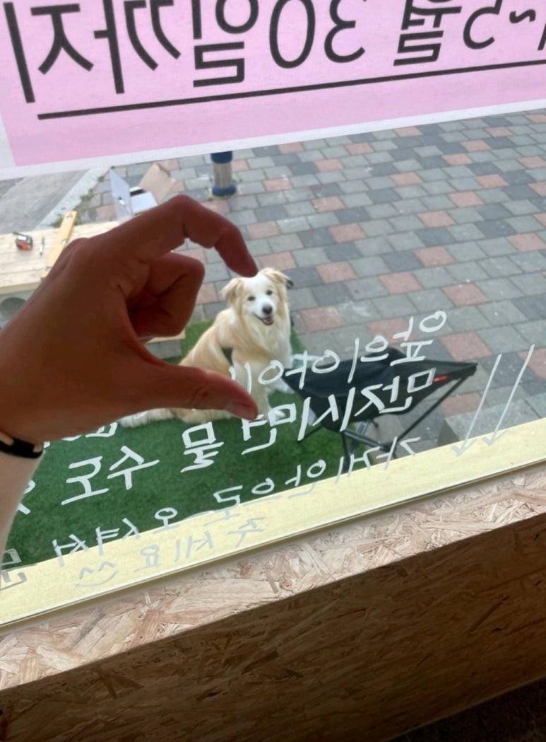 피자셔틀 이미지