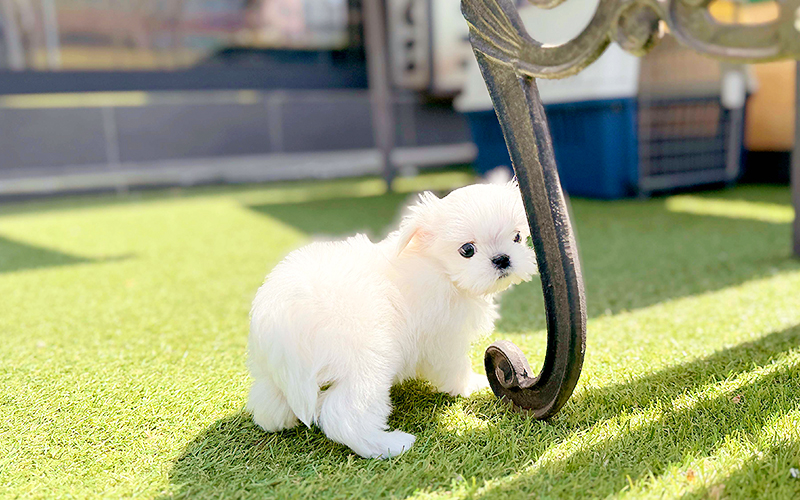 제일미용타운 이미지