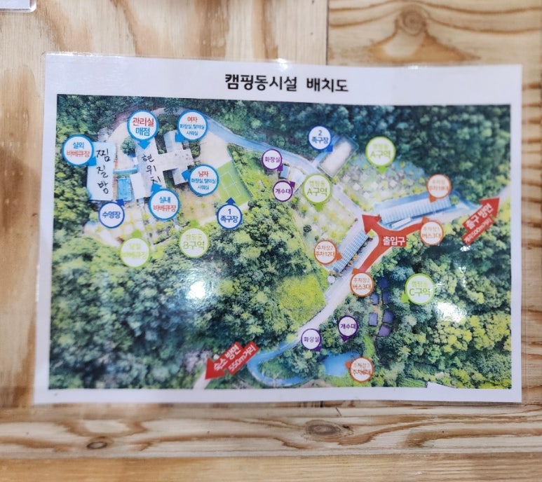 맑은숲 이미지