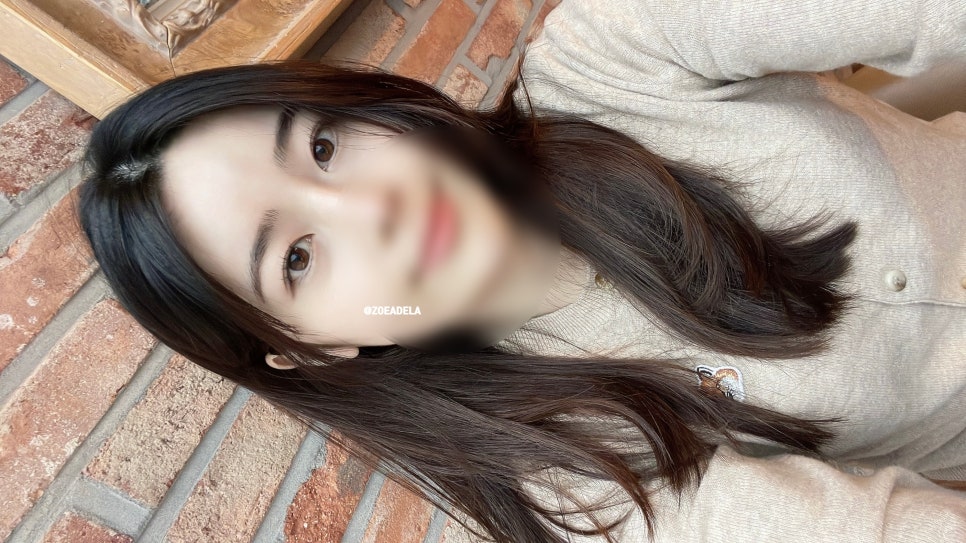 다뷰래쉬 이미지