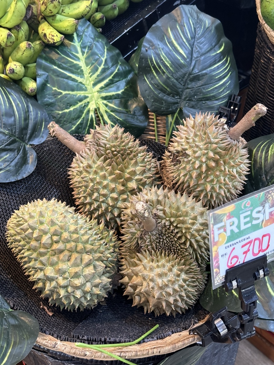 코코마트 이미지