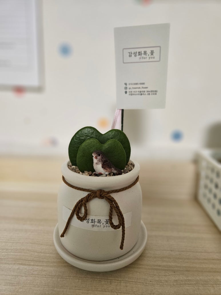 감성화목;꽃 이미지