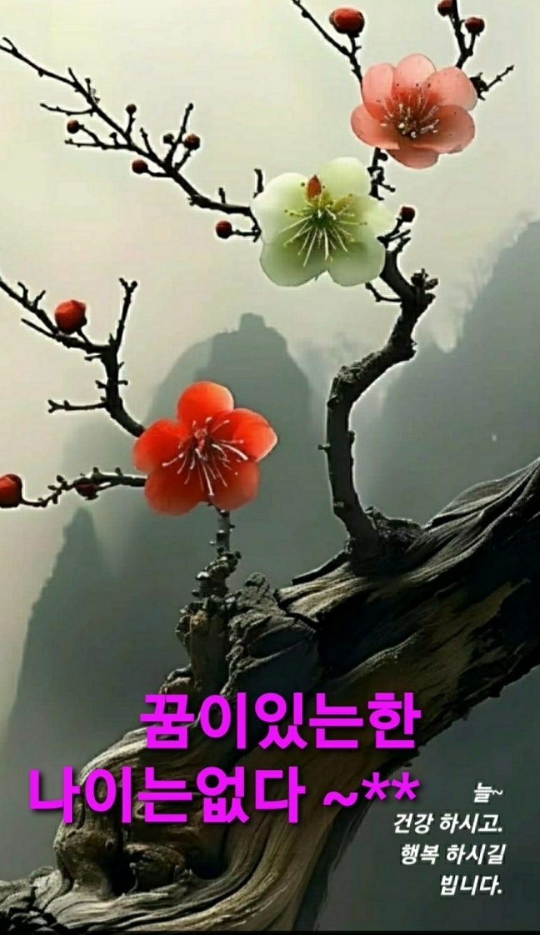 밥짓는행복 이미지