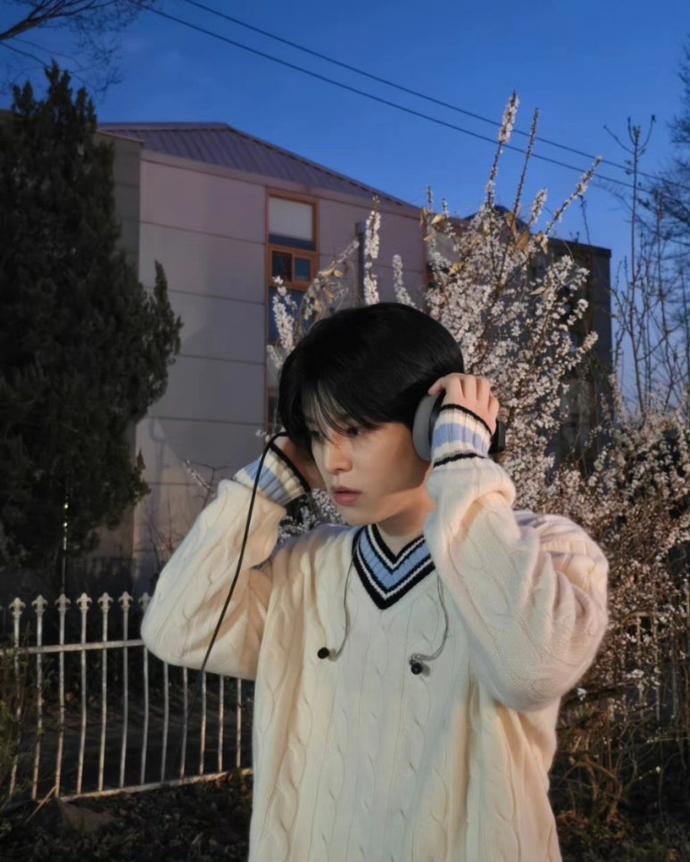 바이쏭 이미지