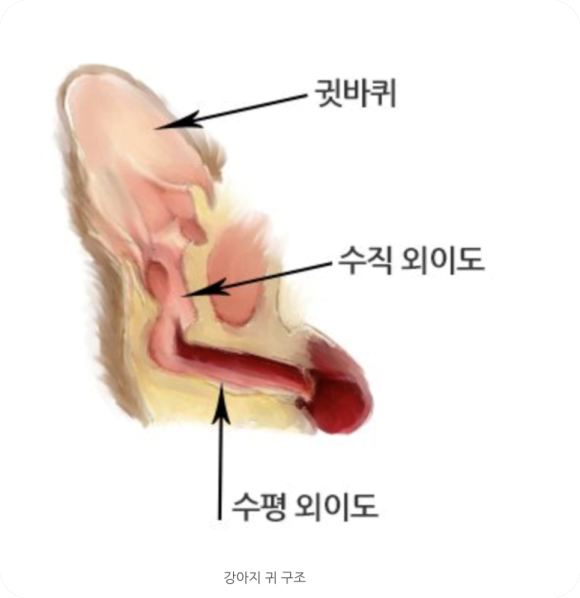 유기화 이미지