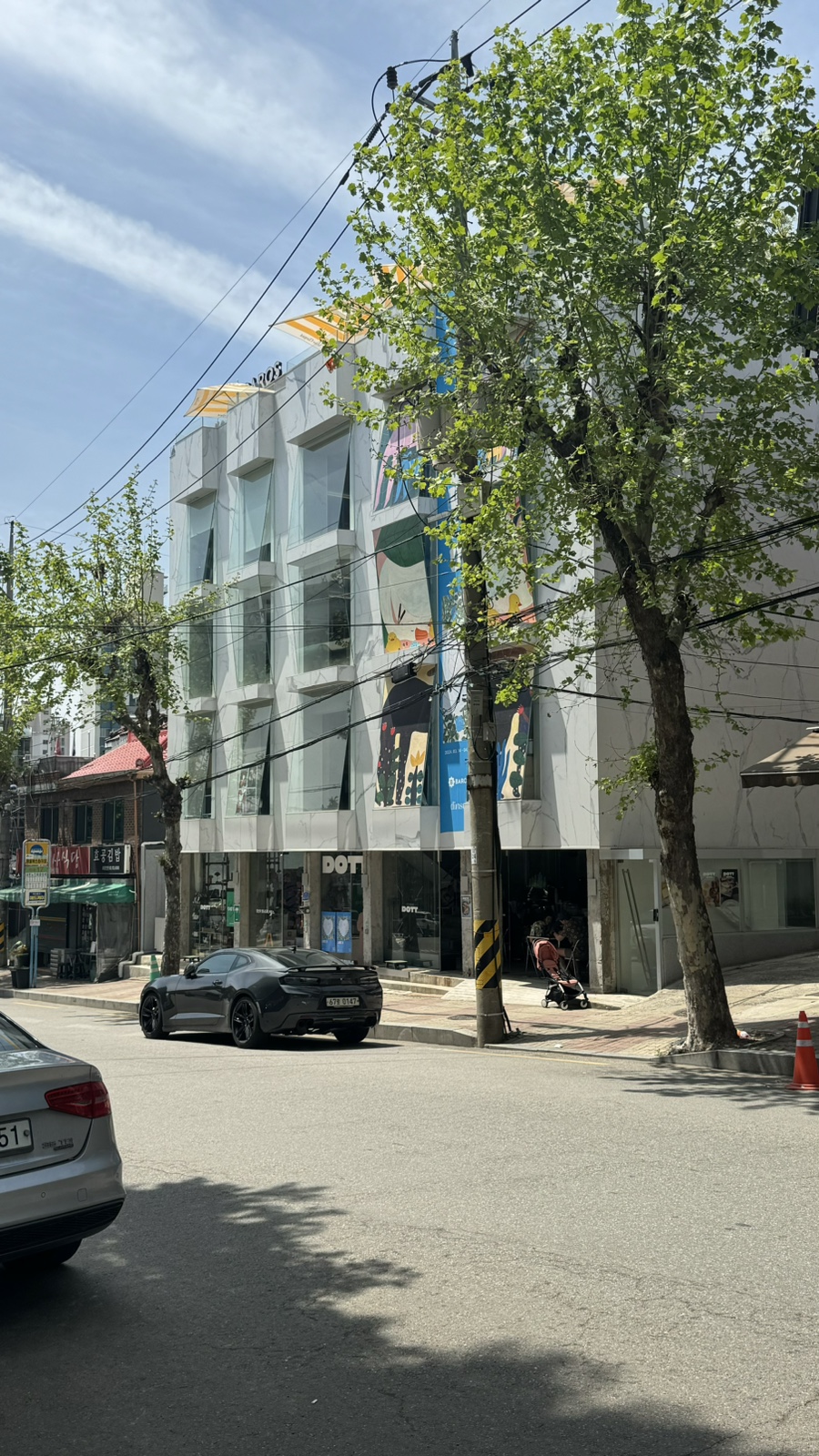 디오티티 이미지