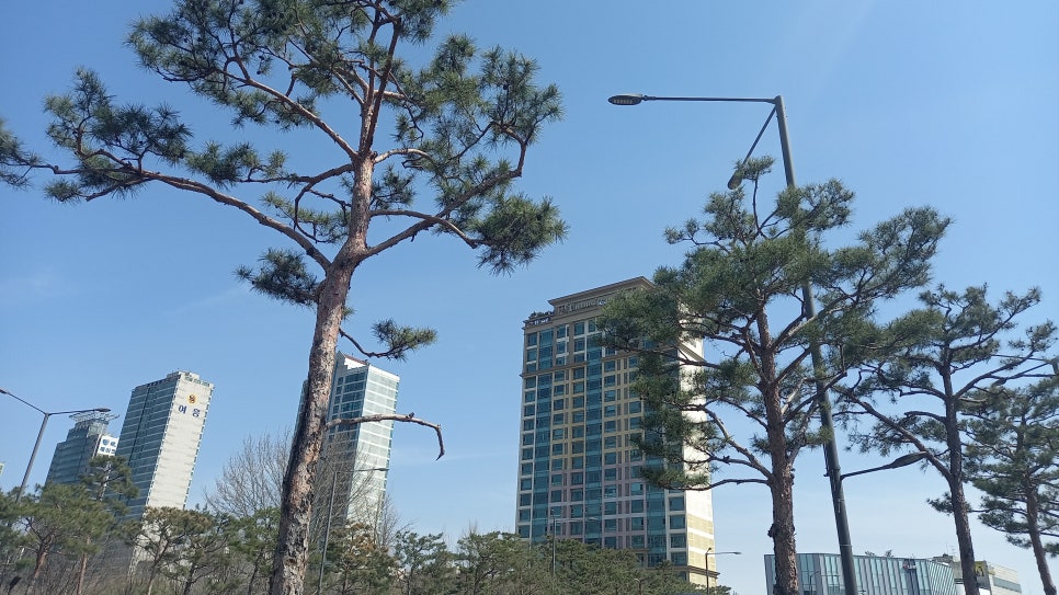 정화노래연습장 이미지
