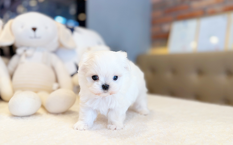 제일미용타운 이미지