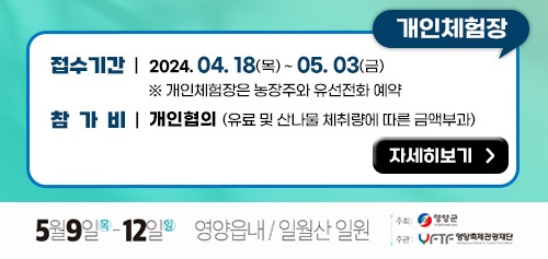 영양중앙초등학교 이미지