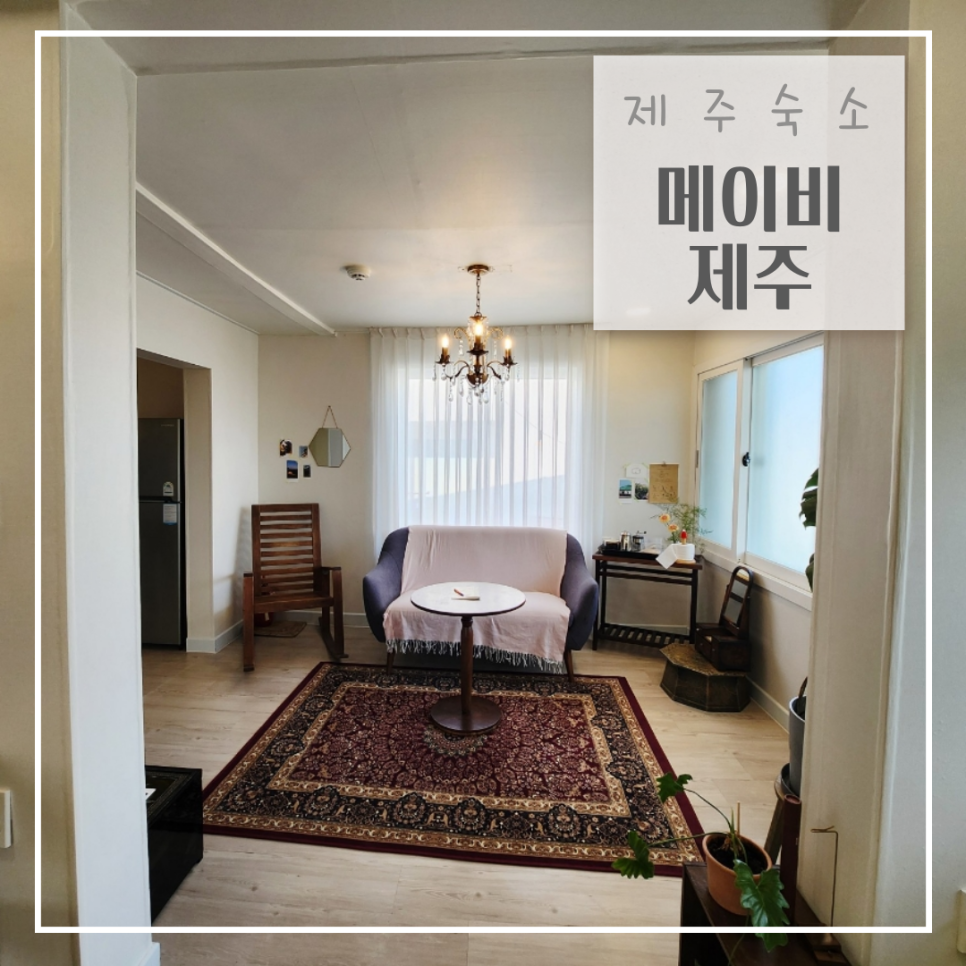 메이비제주 이미지