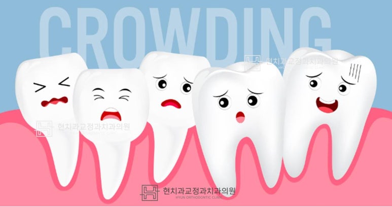 현치과교정과치과의원 이미지