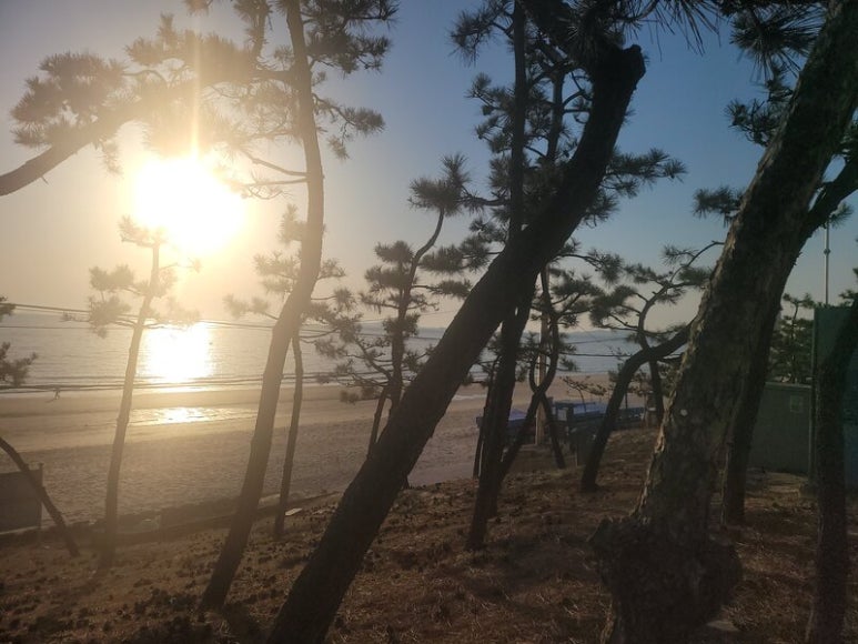 참숯마장동뒷고기 이미지