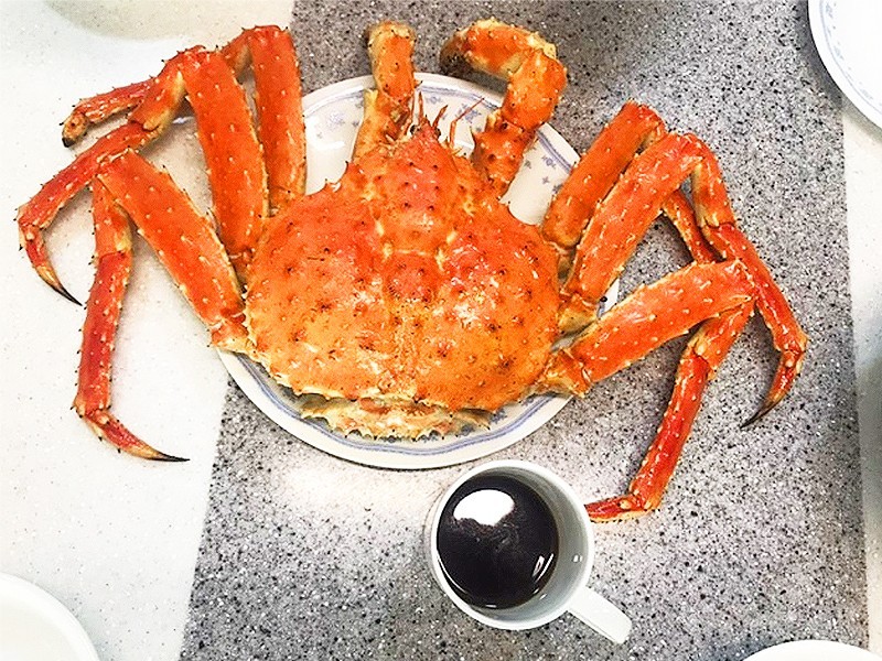 블루브라운 이미지