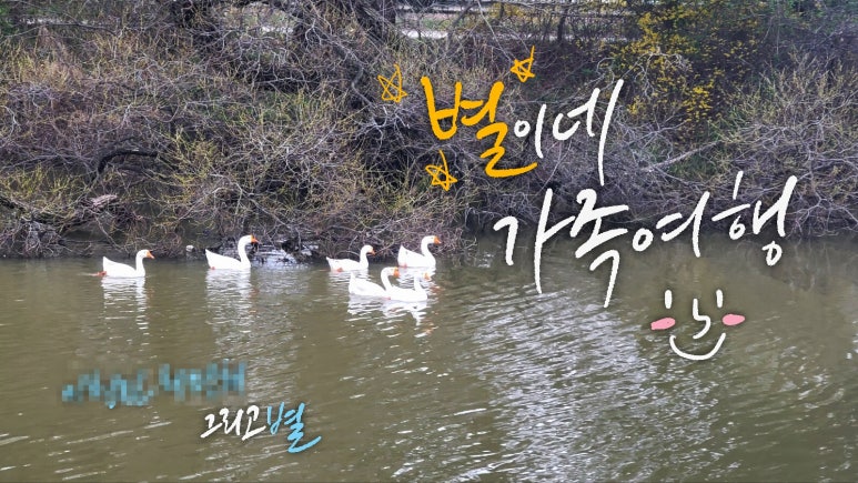 달과7펜스 이미지