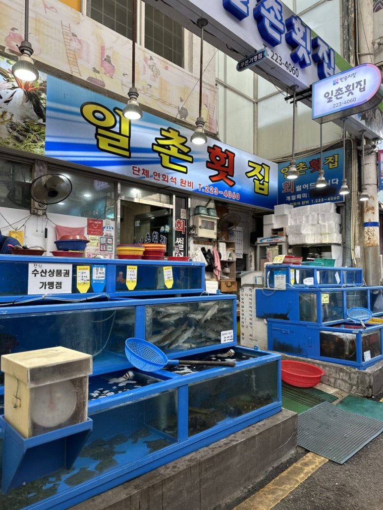 일촌횟집 이미지