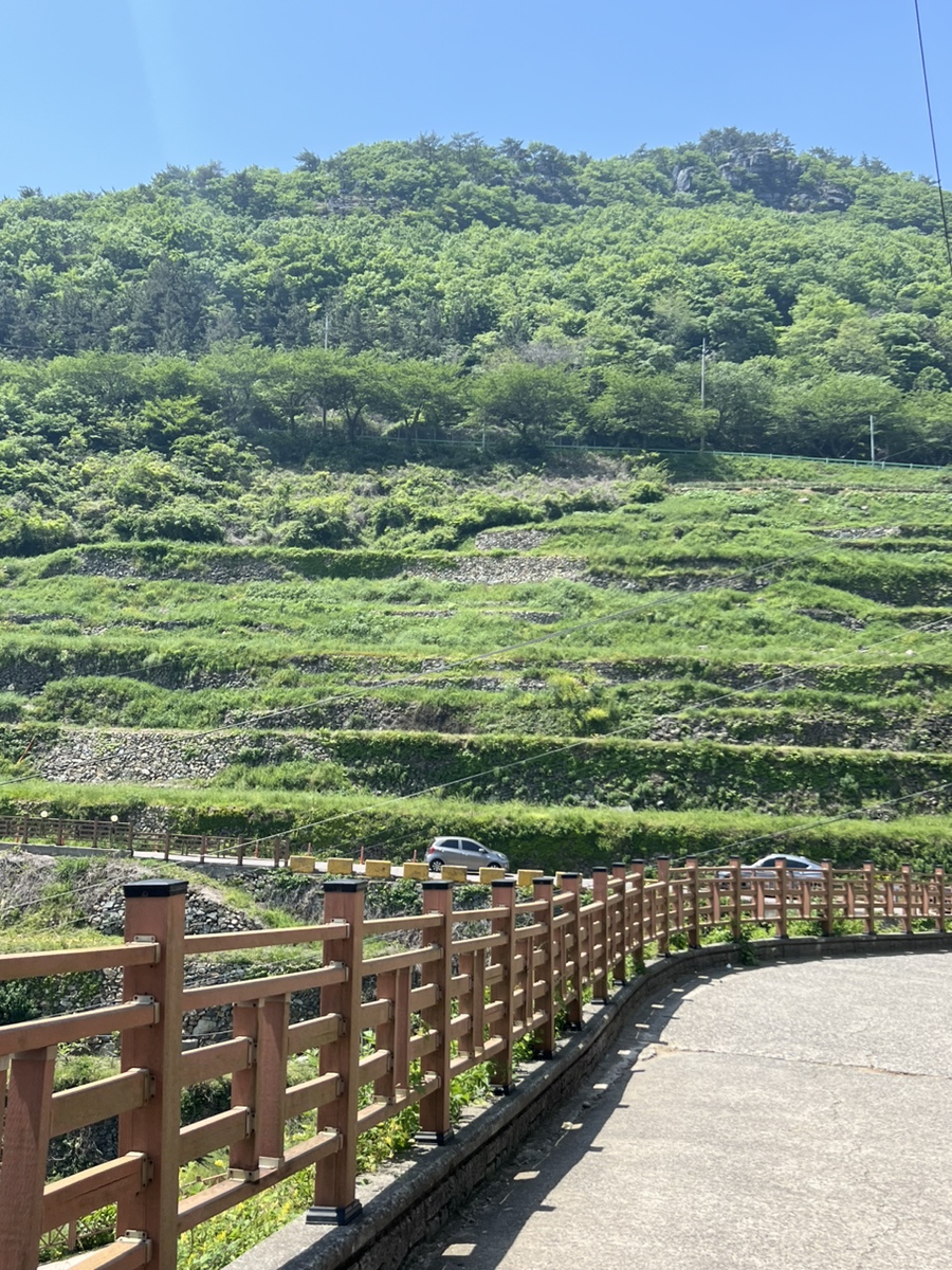다랭이민박 이미지