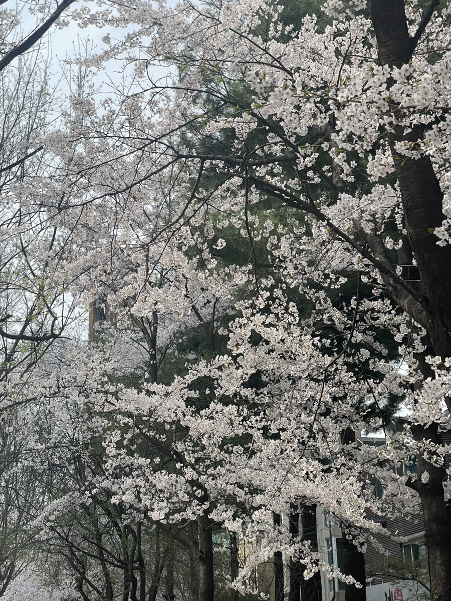 모퉁이헤어 이미지