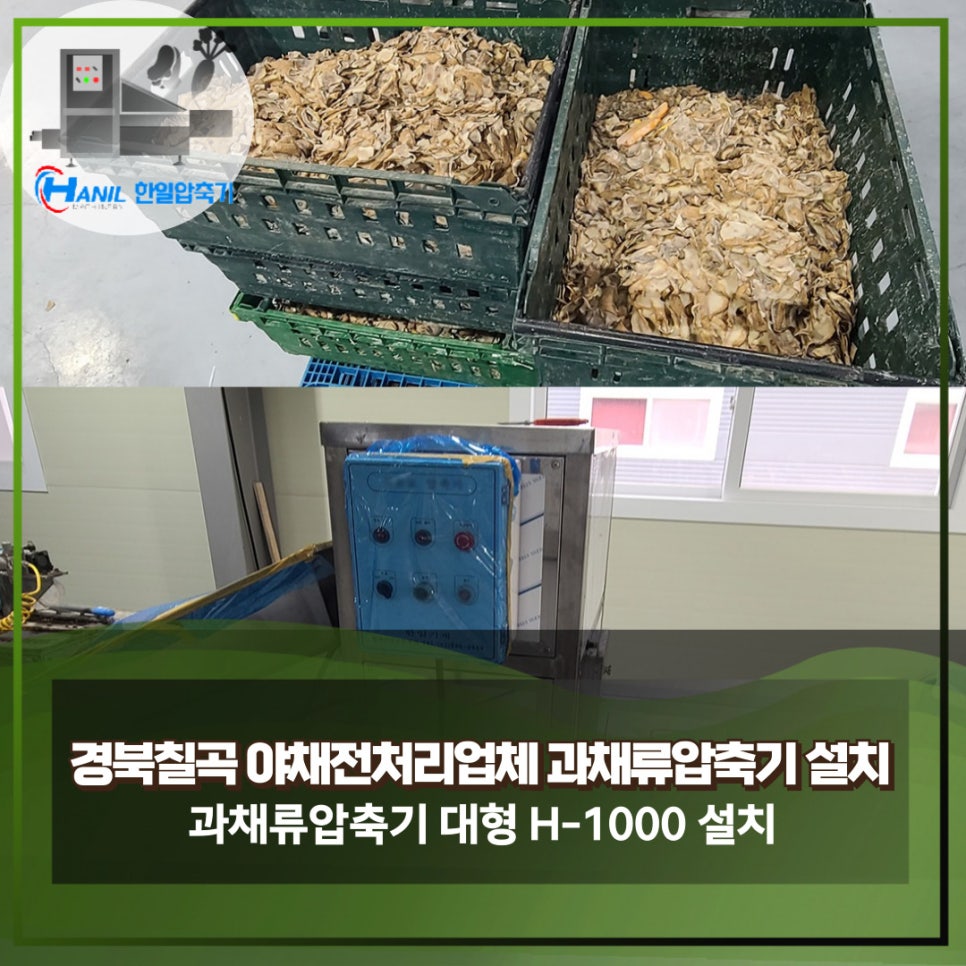 경북야채 이미지