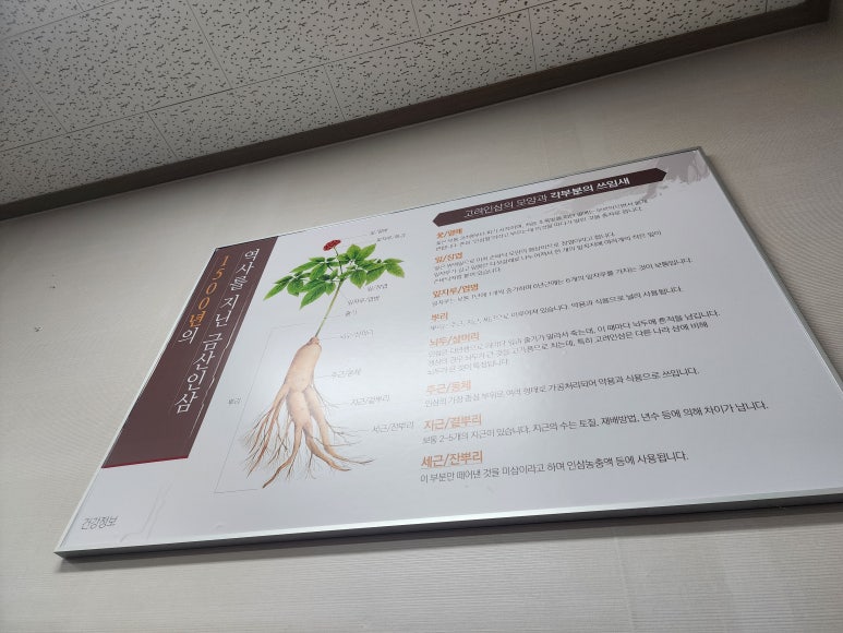 (주)한국인삼내츄럴 이미지