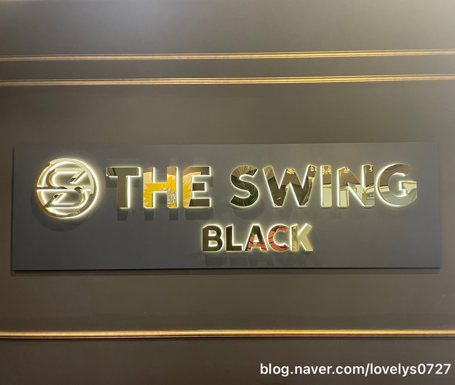 더스윙블랙동탄2 이미지