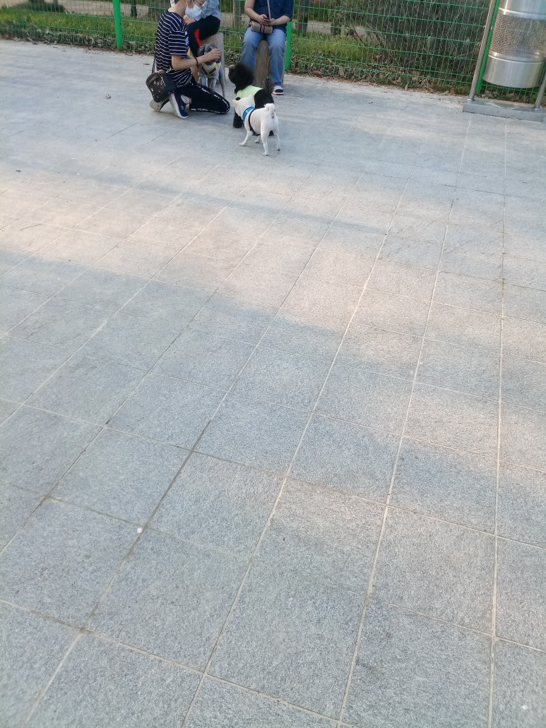 또치미용실 이미지