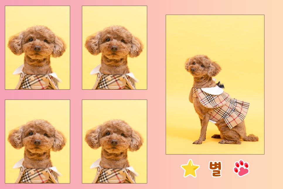 싼타사진관 이미지