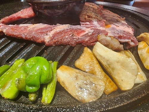 돼지도온 이미지