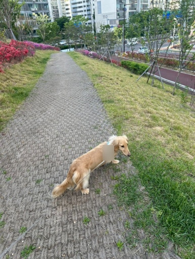 두리축산고기 이미지