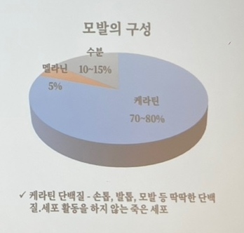 가위와빗 이미지