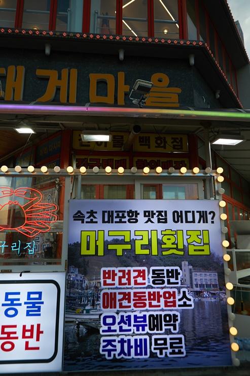 속초머구리횟집 이미지