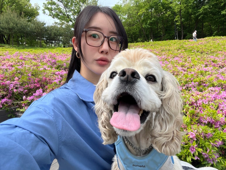 얼굴공작소 이미지