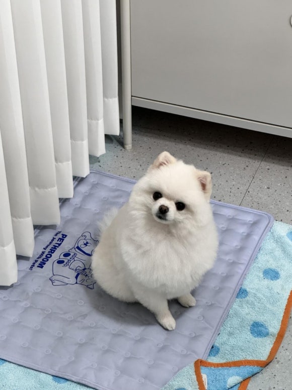 커믈리 네일엔뷰티 이미지