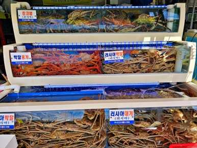 대게왕국 이미지